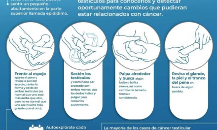 Autoexploración testicular | Hazlo 1 vez al mes, desde la adolescencia.