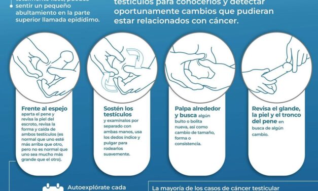 Autoexploración testicular | Hazlo 1 vez al mes, desde la adolescencia.