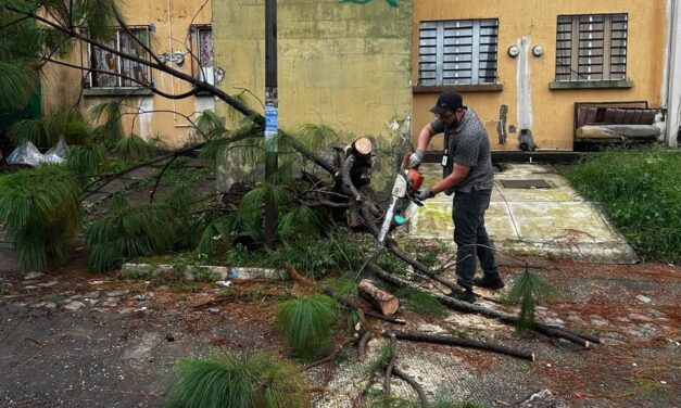 Equipo de Reacción Inmediata retira árboles caídos tras tormenta en Tepic 🌳⚡
