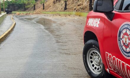 ¡RESTRICCIÓN DE PASO EN PASEO DEL CENTENARIO POR DESLAVES!