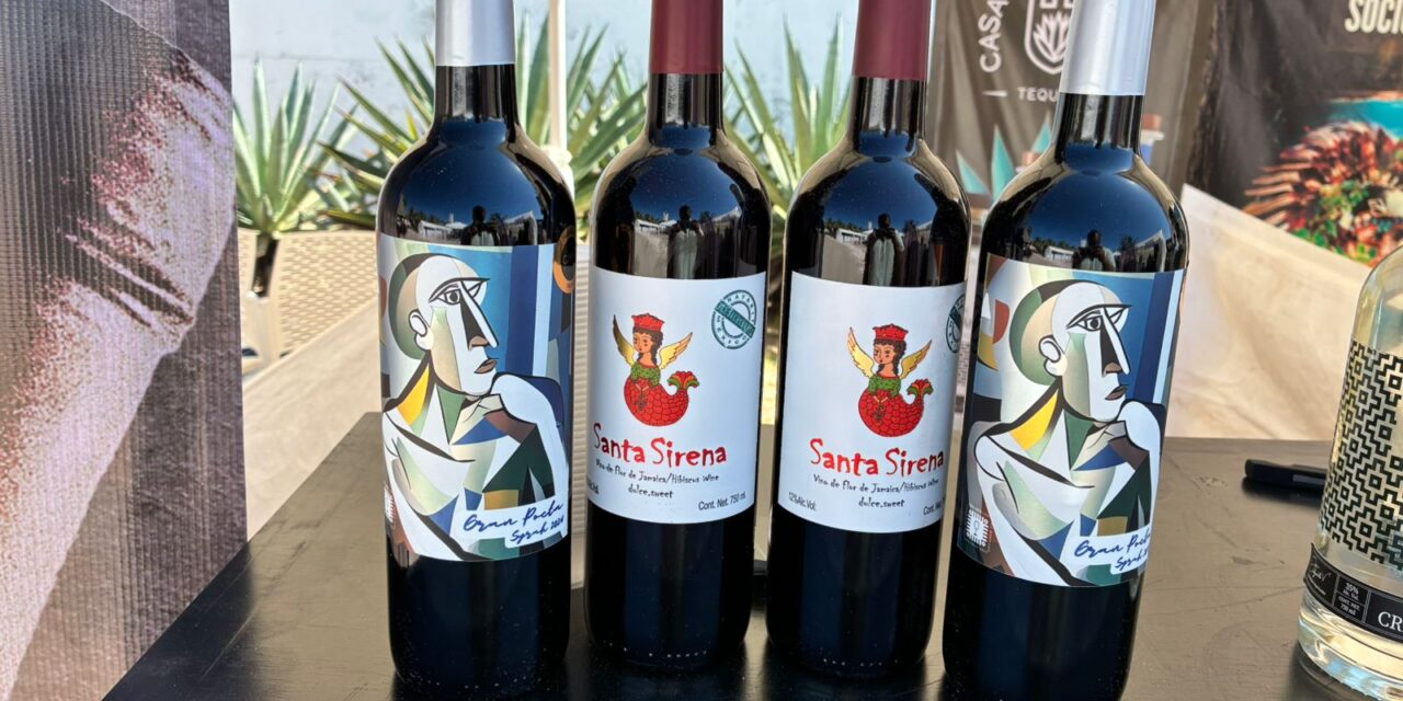 NAYARIT BRILLA EN WINE SEA FEST 2025