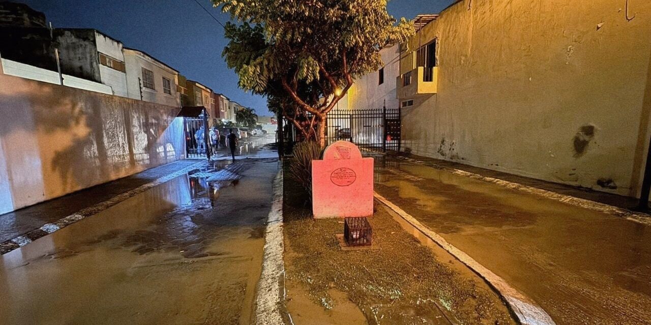 ¡SEAPAL VALLARTA PARTICIPA EN LABORES DE LIMPIEZA TRAS LA TORMENTA!