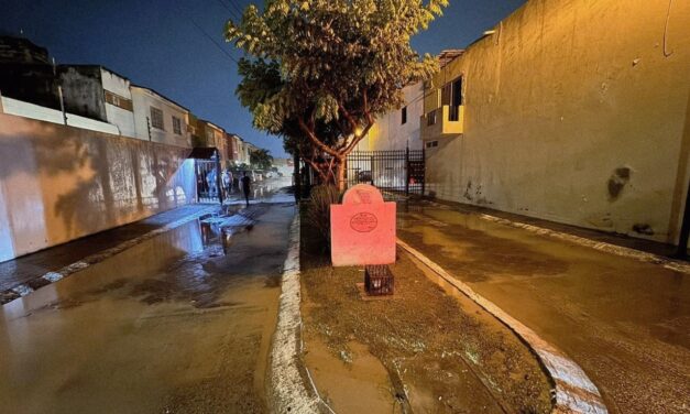 ¡SEAPAL VALLARTA PARTICIPA EN LABORES DE LIMPIEZA TRAS LA TORMENTA!