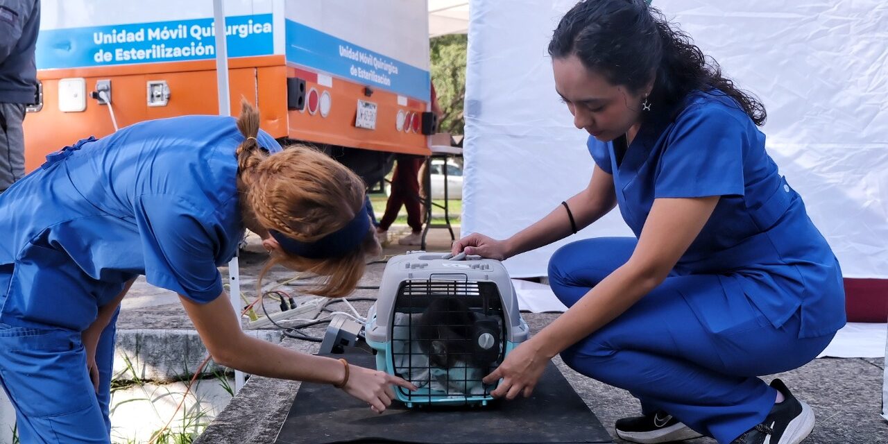 ¡Más de 80 mil atenciones para las y los jaliscienses! Juntos construimos un Jalisco más justo y solidario