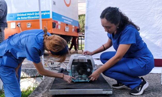 ¡Más de 80 mil atenciones para las y los jaliscienses! Juntos construimos un Jalisco más justo y solidario