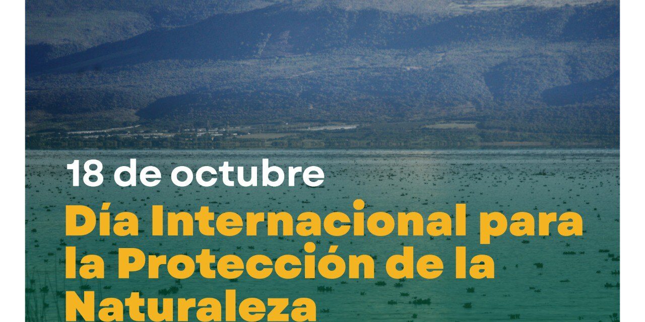 DÍA INTERNACIONAL DE LA PROTECCIÓN DE LA NATURALEZA