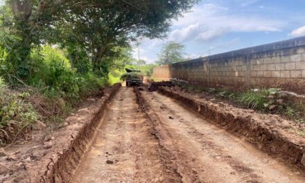 OBRAS PÚBLICAS REHABILITA CAMINOS RURALES EN TEPIC