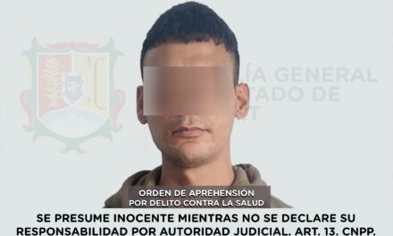 CAPTURADO PRESUNTO RESPONSABLE DE DELITO CONTRA LA SALUD