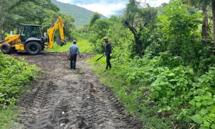 MEJORAMIENTO DE VIALIDADES EN COAPAN