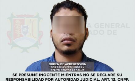 DETENIDO POR ARMAS PROHIBIDAS Y DELITO CONTRA LA SALUD