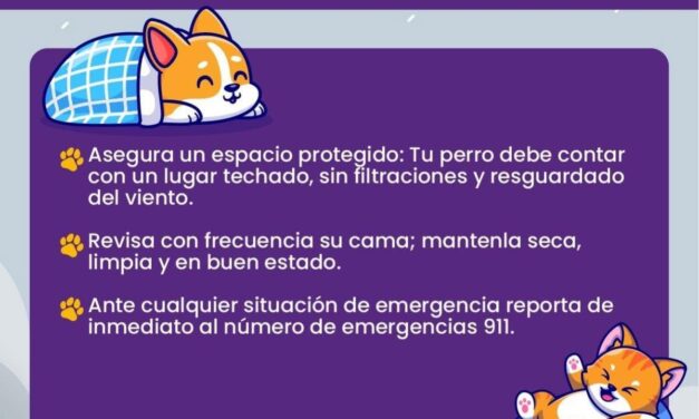 PROTEGE A TUS MASCOTAS DEL CLIMA