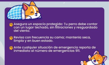 CUIDA A TUS MASCOTAS DEL FRÍO, CALOR Y LLUVIA