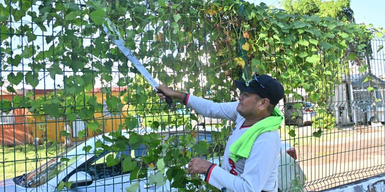 RÉCORD DE LIMPIEZA EN MAZATLÁN: ¡MÁS DE 500 VOLUNTARIOS!