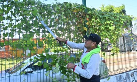 RÉCORD DE LIMPIEZA EN MAZATLÁN: ¡MÁS DE 500 VOLUNTARIOS!