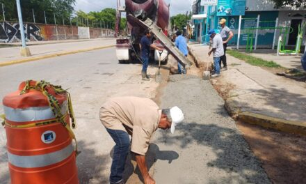 MAZBACHETÓN TRANSFORMA LAS CALLES DE JACARANDAS