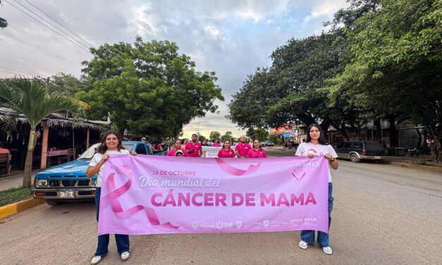 CAMINATA Y MERCADITO ROSA: UNIDOS EN LA LUCHA CONTRA EL CÁNCER DE MAMA