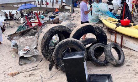 PUERTO VALLARTA LIMPIA SU MAR