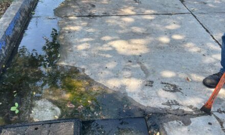 TRABAJOS EN LA ESCUELA PRIMARIA MÁRTIRES DE LA REVOLUCIÓN EN MAZATLÁN