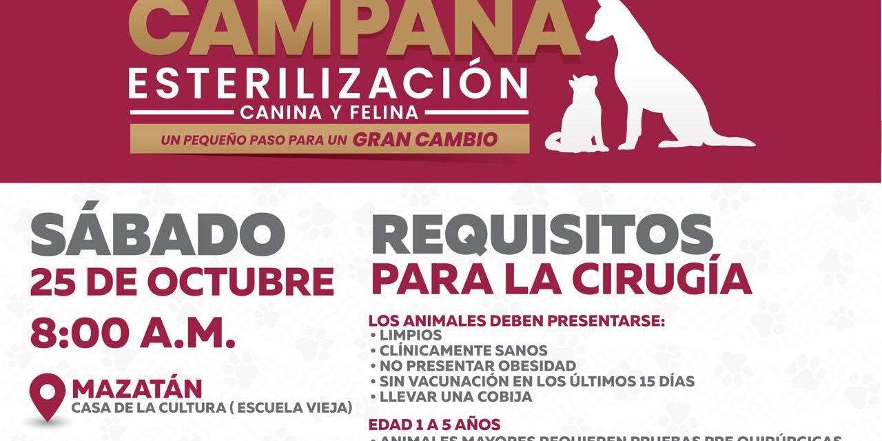 CAMPANA DE ESTERILIZACIÓN CANINA Y FELINA EN MAZATLÁN