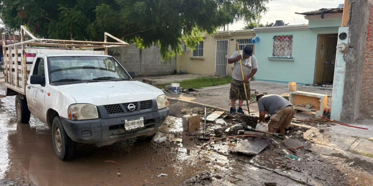 REPARACIÓN DE BACHES EN AV. ÓSCAR PÉREZ ESCOBOSA Y PASEO DEL ATLÁNTICO