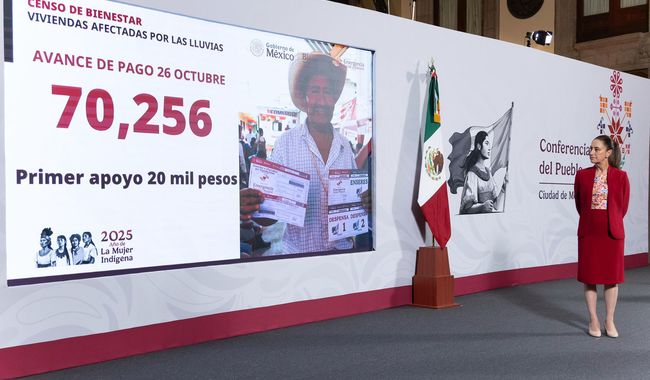 Gobierno de México: se han otorgado 70 mil 256 apoyos a personas afectadas por las lluvias