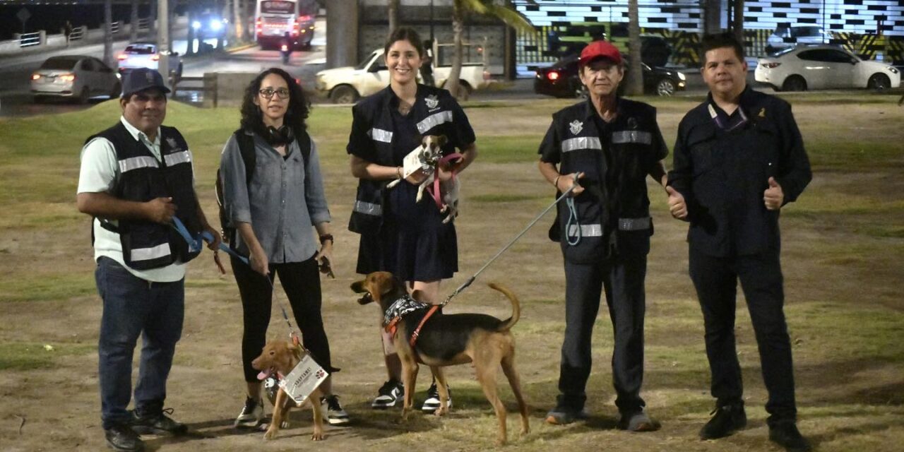 Colorido convivio canino por el Día de Muertos en Mazatlán