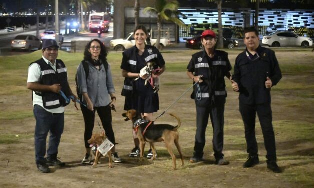 Colorido convivio canino por el Día de Muertos en Mazatlán