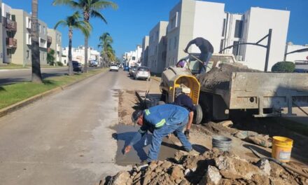 Trabajos de bacheo en el Fracc. Real del Valle