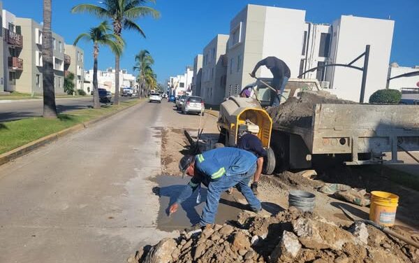 Trabajos de bacheo en el Fracc. Real del Valle