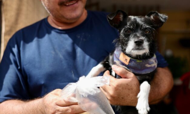 Siguen apoyando con despensas a familias afectadas