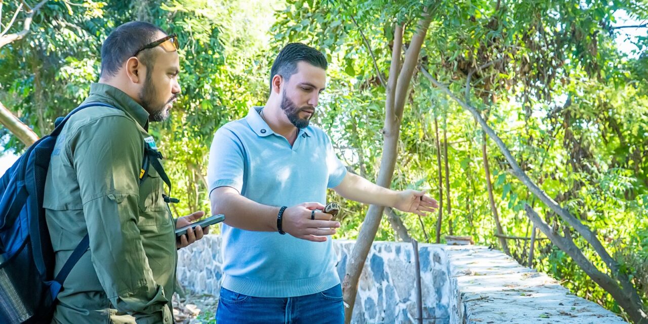 PRIORIDAD A LA TORTUGA CASQUITO EN VALLARTA