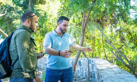 PRIORIDAD A LA TORTUGA CASQUITO EN VALLARTA