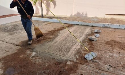 BACHEO CON TROMPO EN ZONA DORADA Y FRACC. GAVIOTAS