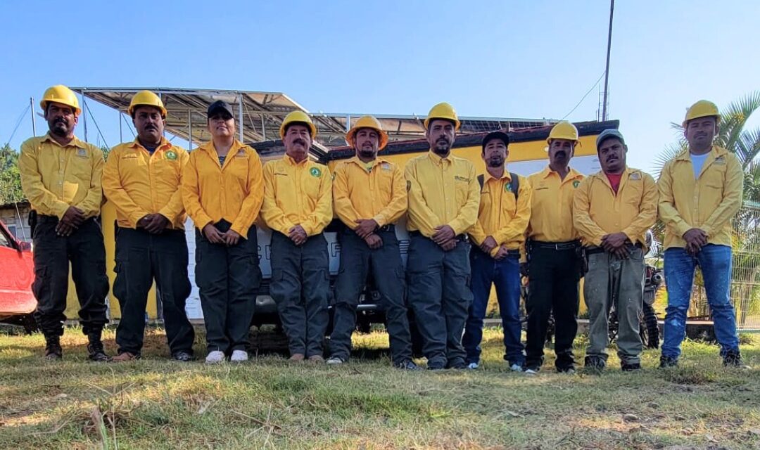 BRIGADA FORESTAL REALIZA MANTENIMIENTO EN LA CARRETERA FEDERAL 200
