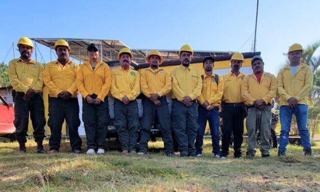 BRIGADA FORESTAL REALIZA MANTENIMIENTO EN LA CARRETERA FEDERAL 200