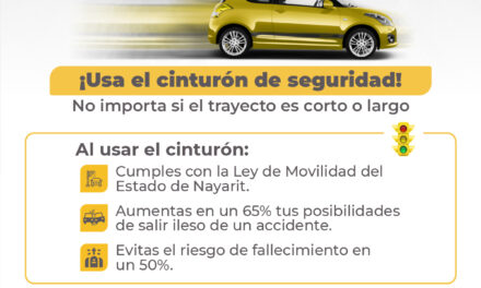 USA EL CINTURÓN DE SEGURIDAD Y VIAJA SEGURO