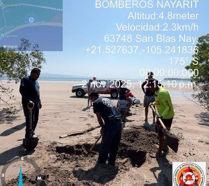 PROTECCIÓN CIUDADANA Y BOMBEROS ATIENDE DECESO DE DELFÍN EN SAN BLAS