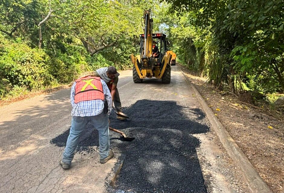 RAMO OLVIDADO, HOY RECUPERADO!