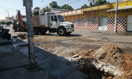 REALIZAN MANTENIMIENTO EN LA PLAZUELA MACHADO