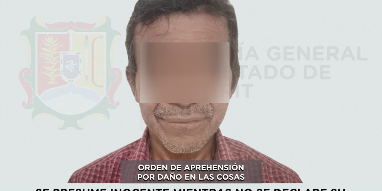 CAPTURADO EN ACAPONETA POR DAÑO EN LAS COSAS