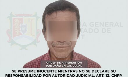 CAPTURADO EN ACAPONETA POR DAÑO EN LAS COSAS