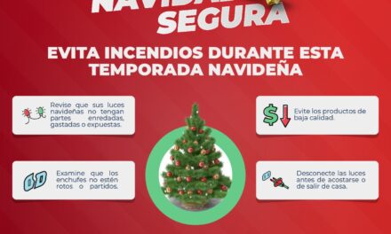 MEDIDAS DE PREVENCIÓN NAVIDEÑA
