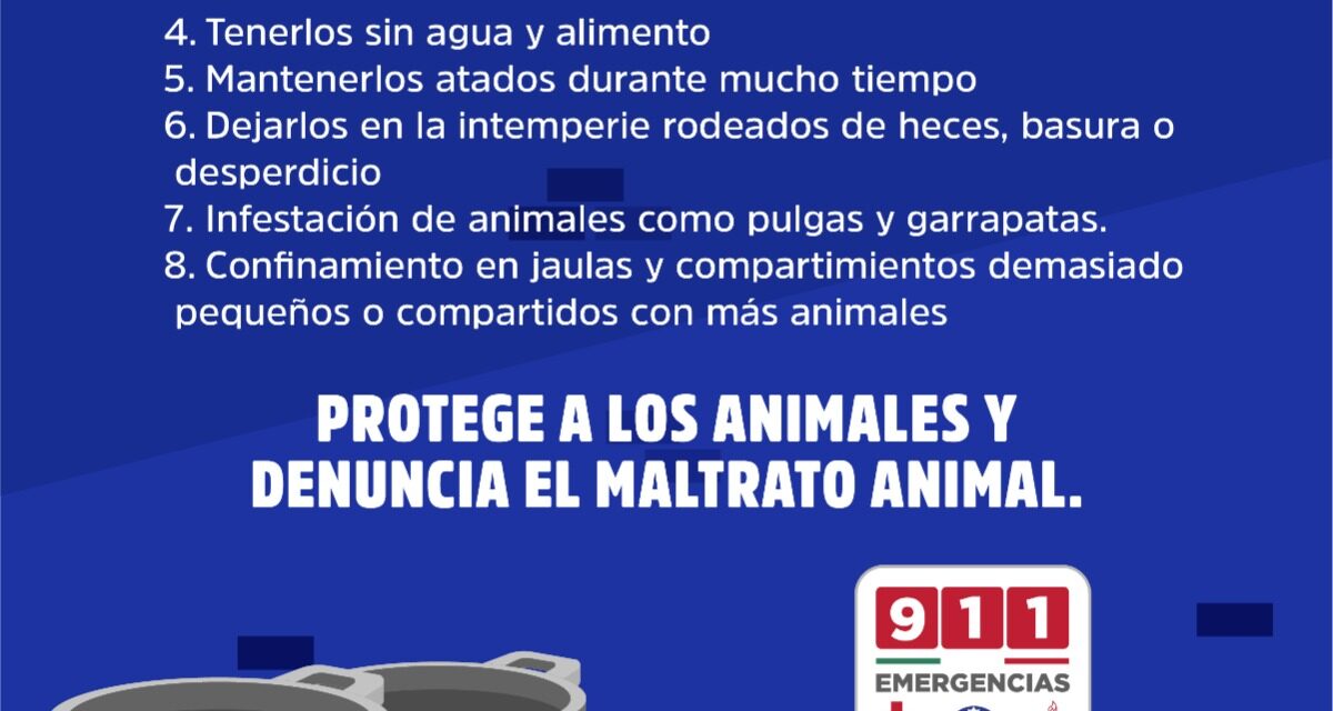 ¡ALTO AL MALTRATO ANIMAL!