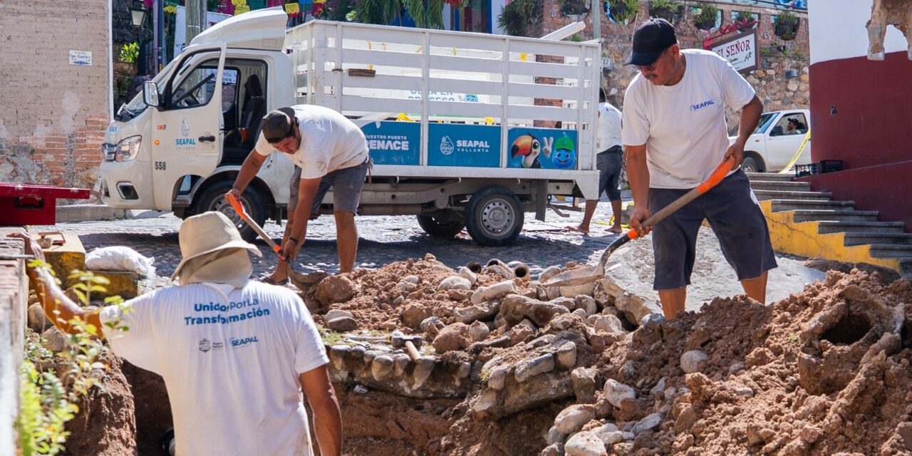SEAPAL REPARA TUBERÍA EN LA CALLE JOSEFA ORTIZ DE DOMÍNGUEZ