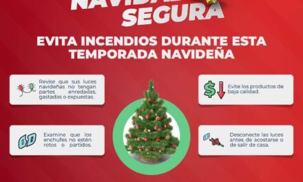 CELEBRA UNA NAVIDAD SEGURA Y SIN ACCIDENTES