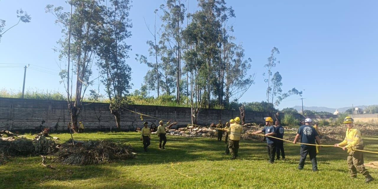 SSPC REALIZA PODA PREVENTIVA EN PLANTELES EDUCATIVOS DE TEPIC