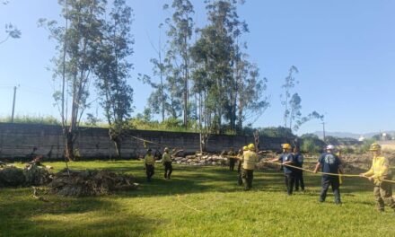 SSPC REALIZA PODA PREVENTIVA EN PLANTELES EDUCATIVOS DE TEPIC