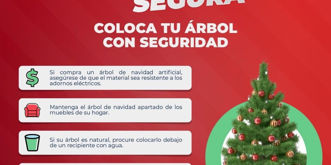 MEDIDAS DE PREVENCIÓN PARA UNA NAVIDAD SEGURA