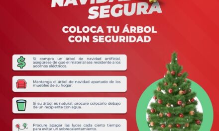 MEDIDAS DE PREVENCIÓN PARA UNA NAVIDAD SEGURA
