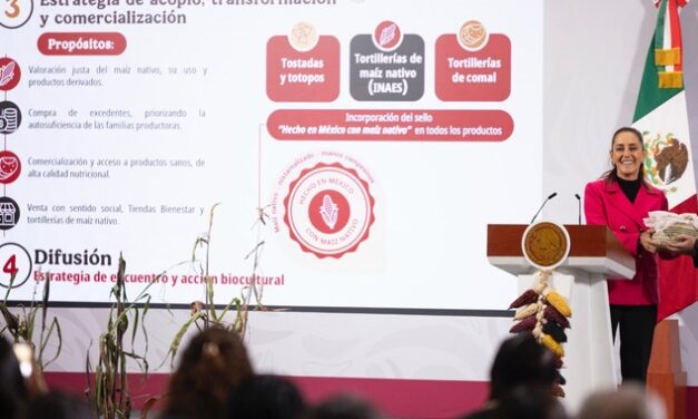 Gobierno de México presenta Plan Nacional de Maíz Nativo: El Maíz es la Raíz que apoyará a 1.5 millones de campesinas y campesinos